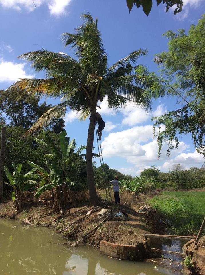 Happy Homestay بون ما توت المظهر الخارجي الصورة